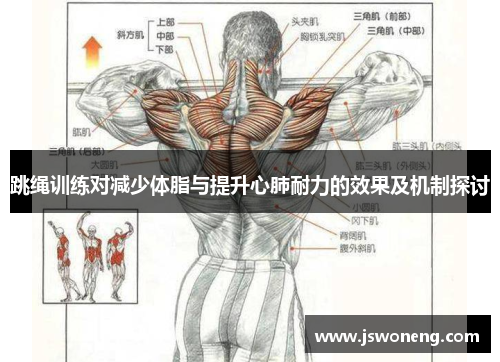 跳绳训练对减少体脂与提升心肺耐力的效果及机制探讨