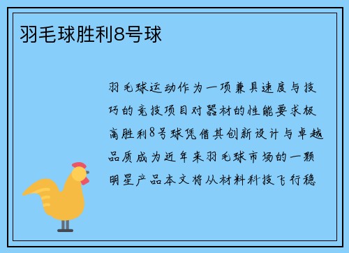 羽毛球胜利8号球