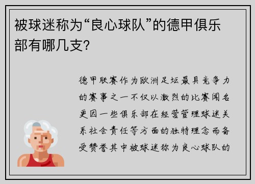 被球迷称为“良心球队”的德甲俱乐部有哪几支？